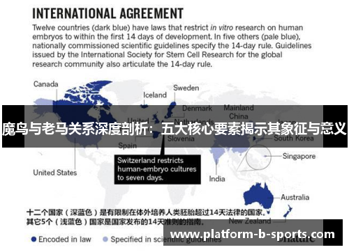 魔鸟与老马关系深度剖析：五大核心要素揭示其象征与意义