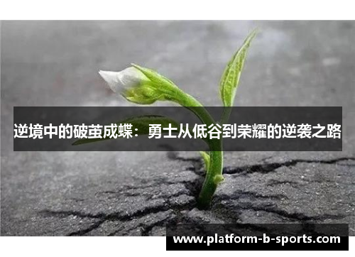 逆境中的破茧成蝶：勇士从低谷到荣耀的逆袭之路